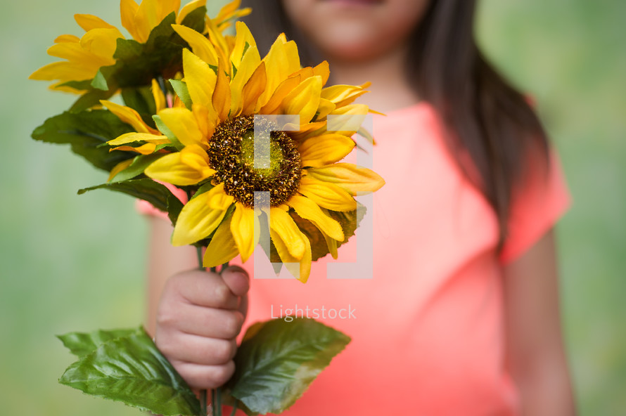 little girl holding sunflowers