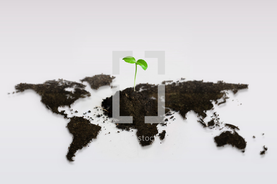 sprout in dirt and world map 