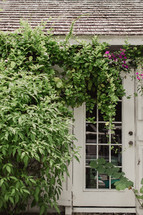 flowers on vines in front of a white door 