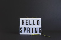 hello spring sign