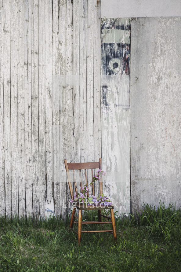lilacs on lone wooden chair