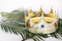 Crown on palm fronds 