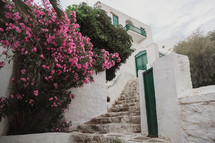 flowers and steps outdoors in Greece 