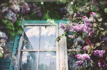 a vintage window surrounded by spring lilacs and leaves layered in double exposure