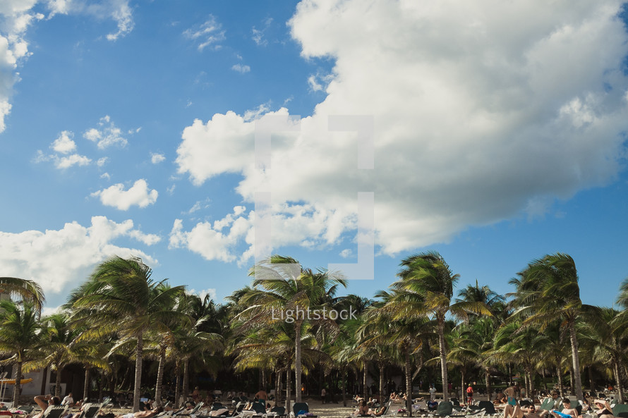 palm trees and lounge chairs on a beach 