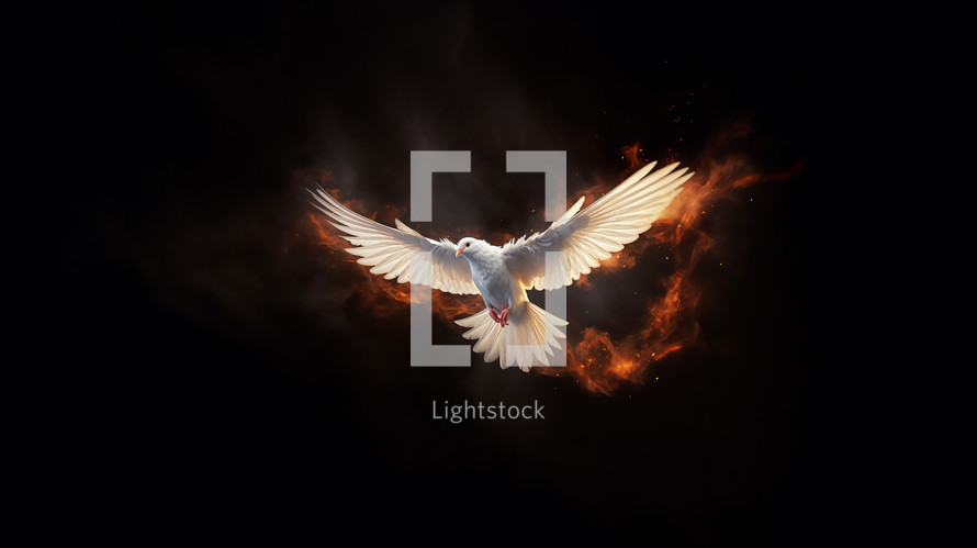A dove with outstretched wings with fire on a black background