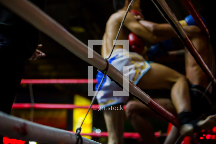 boxers in a boxing ring 