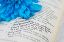 Blue flower on an open Bible.