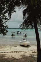 boats tied to a beach in the Bahamas 