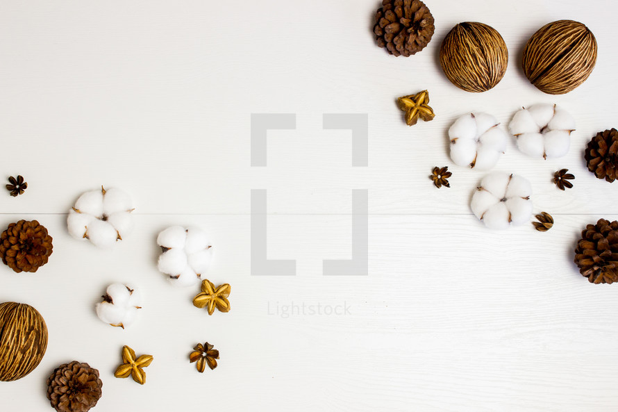 cotton and pine cones on a white background 