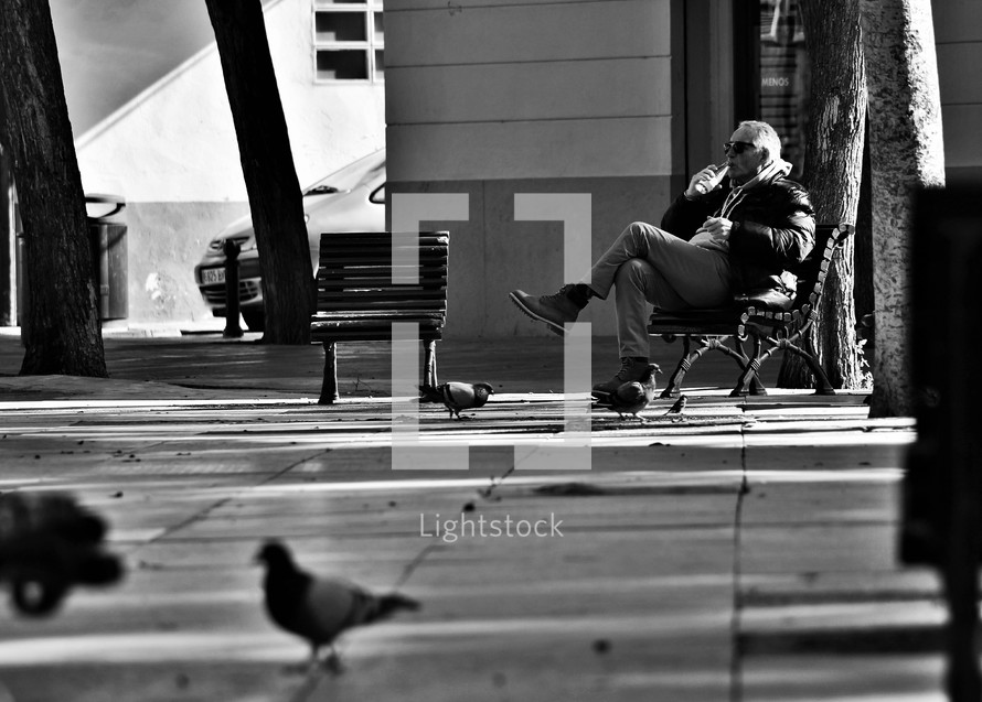 man drinking water sitting on a park bench in a park and pigeons