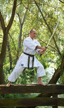 Adult man practicing Karate outdoor