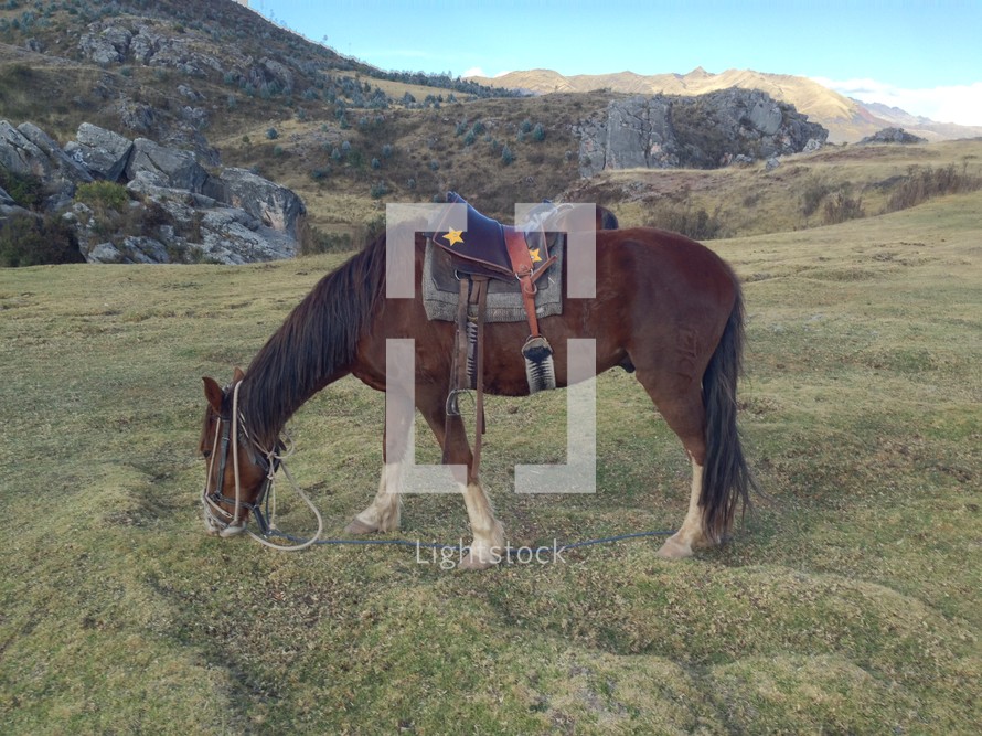 A horse with a saddle grazing on a rocky hillside.