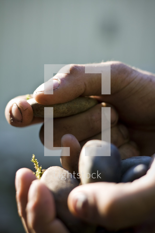child holding five smooth stones 