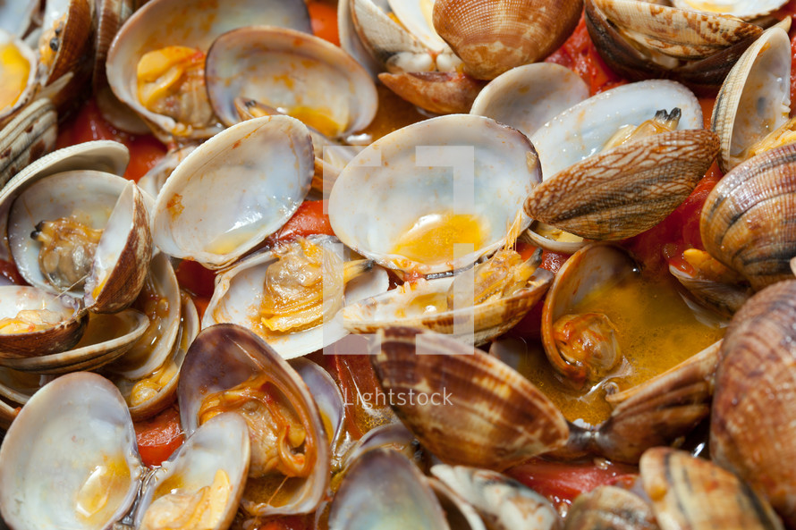 Clams in marinara sauce with tomatoes and oil