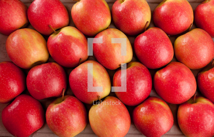 Natural wallpaper of red apples
