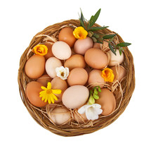 basket of egg