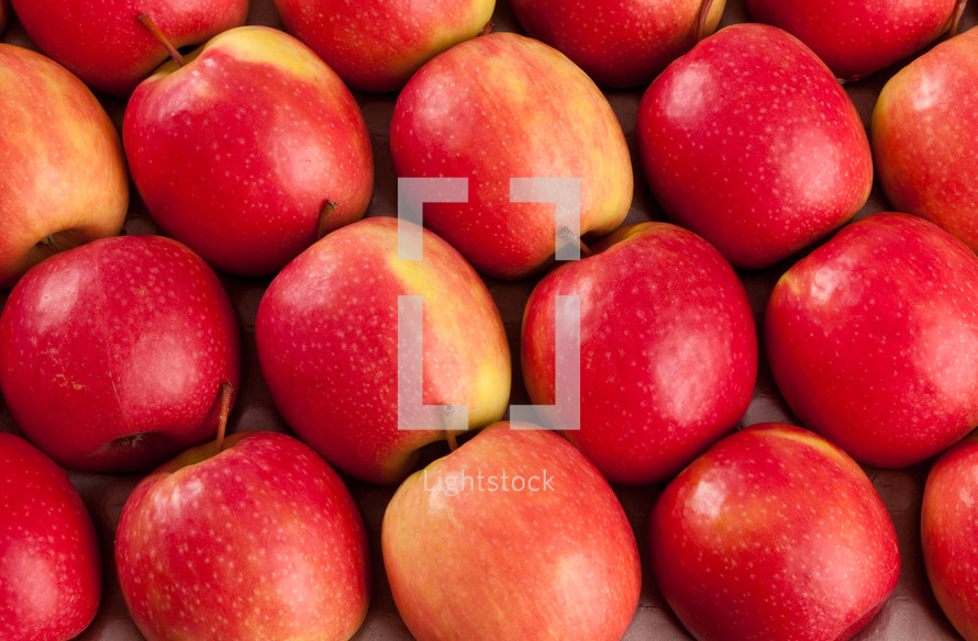Natural wallpaper of red apples
