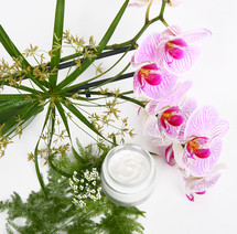 Face cream with herbs and pink orchids on white