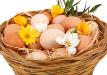 basket of eggs