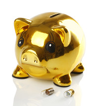 gold piggy bank 