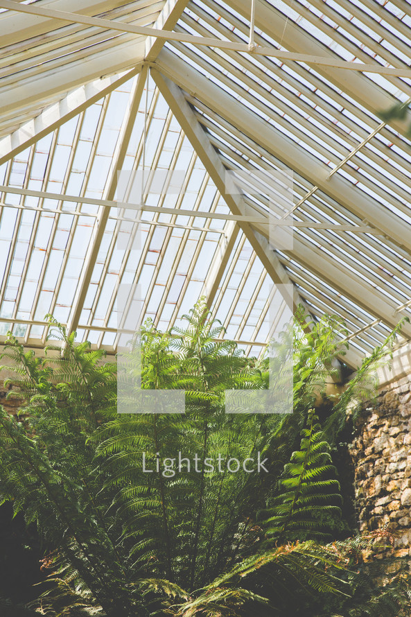 greenery under skylights 