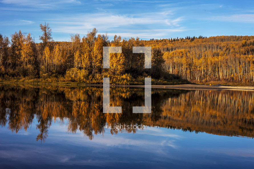 autumn trees reflection on lake water 