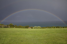 rainbow over a field 