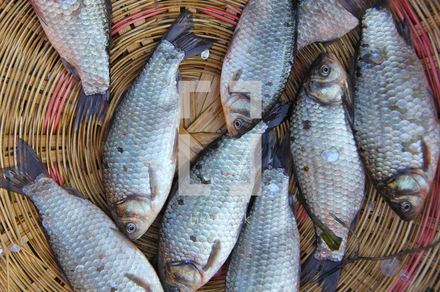 Fresh fish in a basket at morning market
