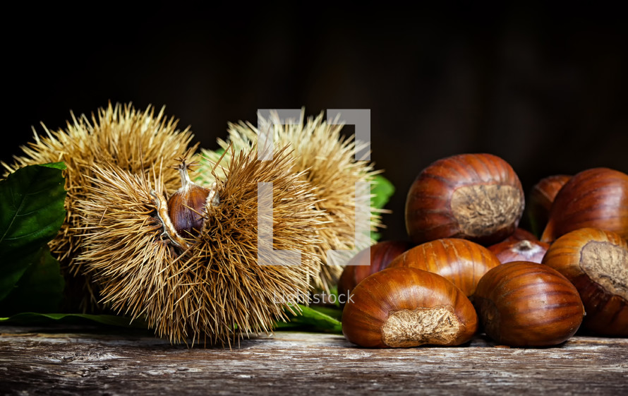 Chestnuts and chestnut bur on wooden table.