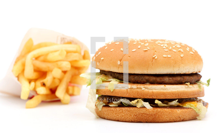 hamburger and fries 
