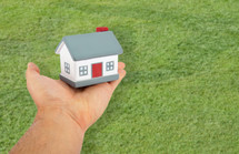 House model toy plastic in hand on green background