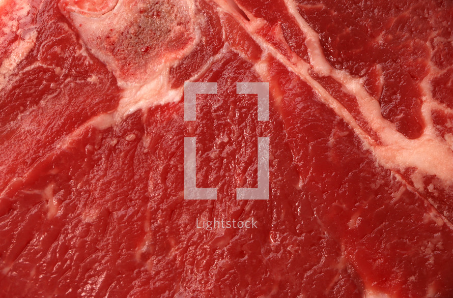 meat background 