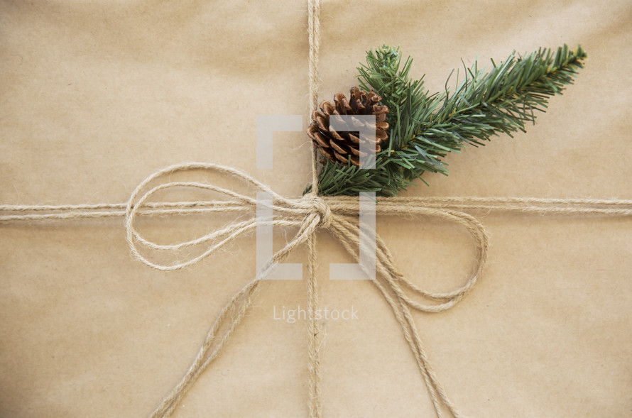 brown paper gift box with pine cone 
