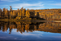 autumn trees reflection on lake water 