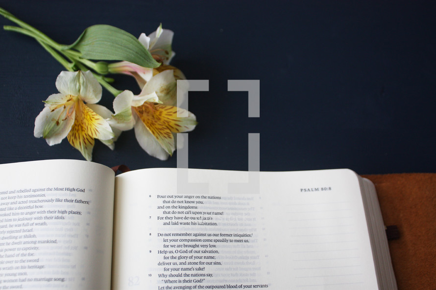 lilies and an open Bible 