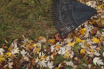 raking fall leaves 