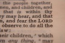 fear the Lord 