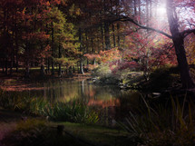 A fall woodland scene of colorful trees  surrounding a small pond.