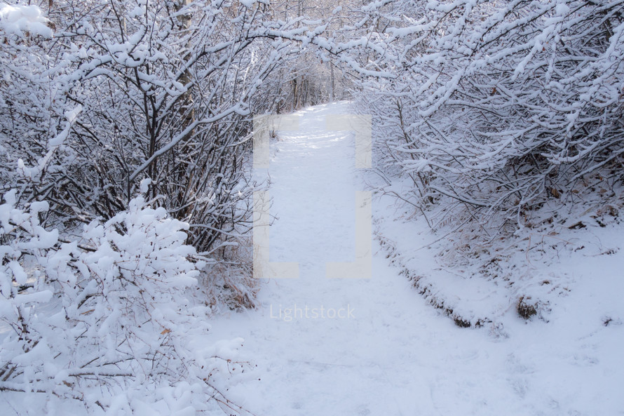 snow on a path 
