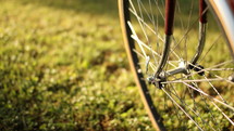 bike wheel 