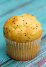 lemon poppy seed muffin 