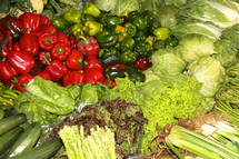 produce in a market 