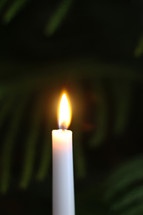 Candlelight 