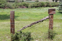 Barb wire fence in a field