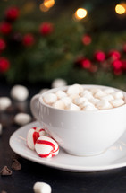 Hot Chocolate and Marshmallows on a Table set for the Holidays