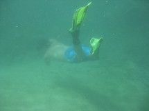 Swimming underwater in the ocean.