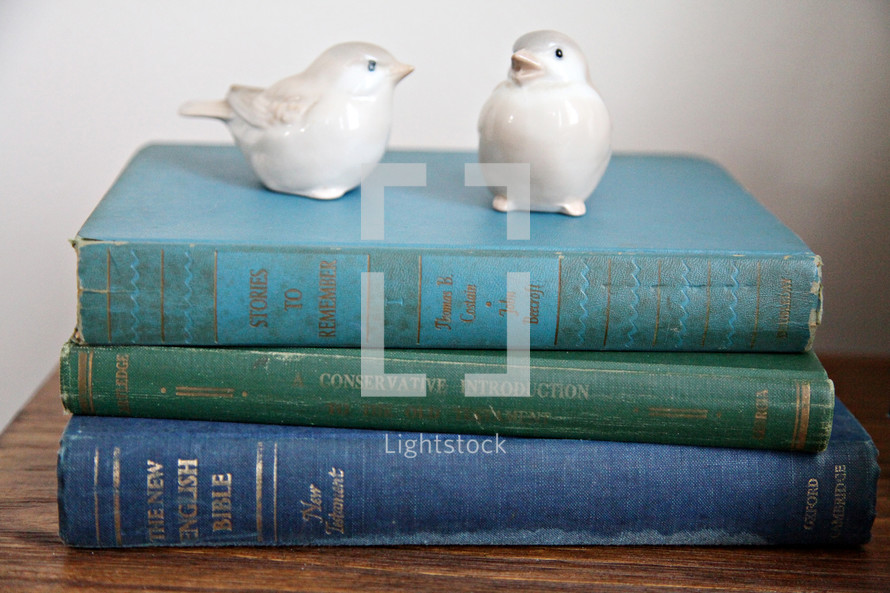 Two ceramic birds on top of a stack of old books.