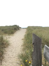 public access path to a beach 
