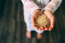 cupped hands holding grains of rice 
